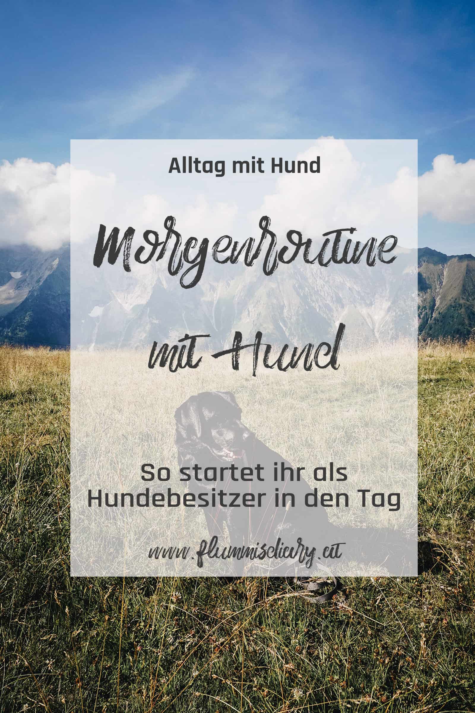 pinterest-morgen-routine-hund-