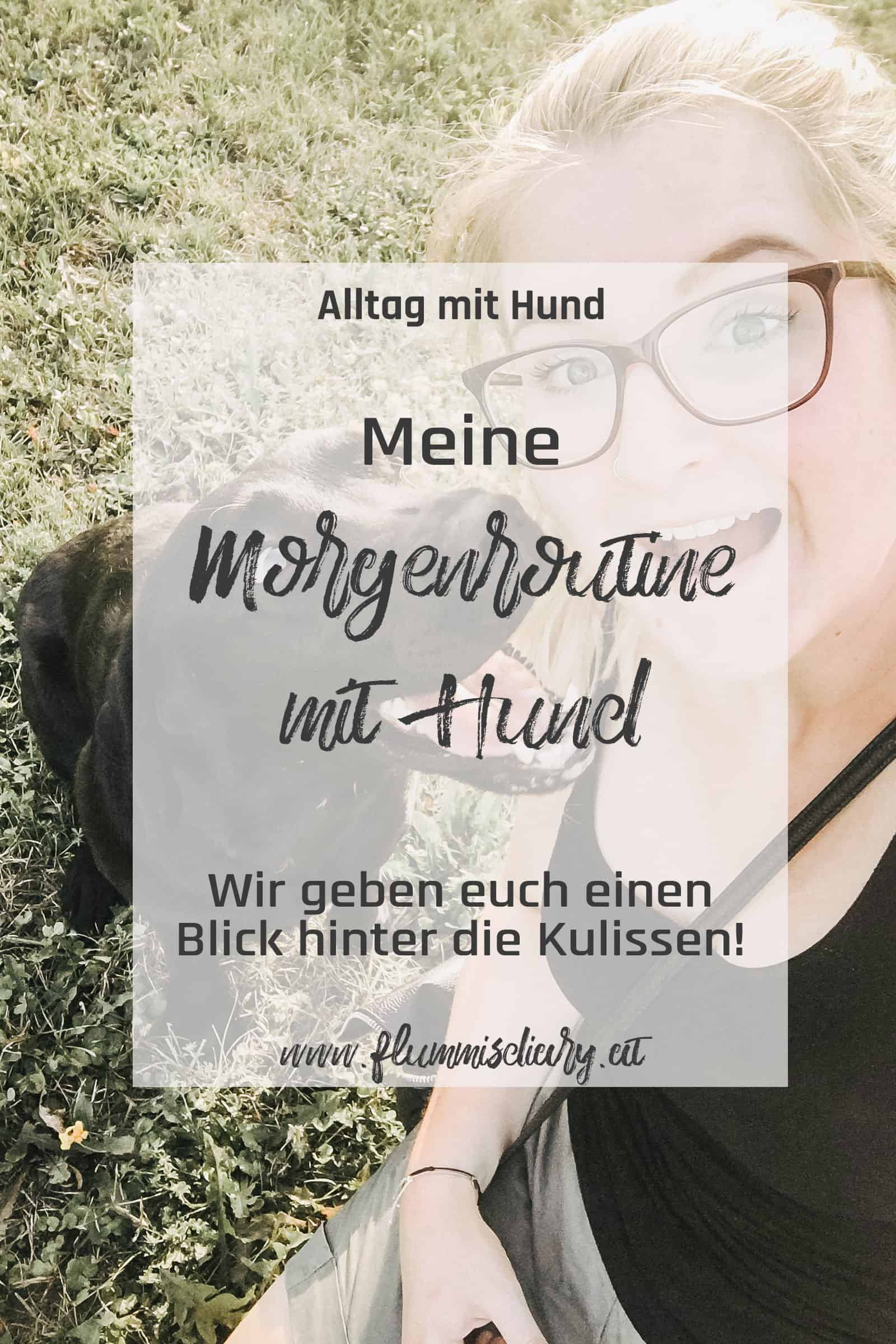 pinterest-morgenroutine-mit-hund