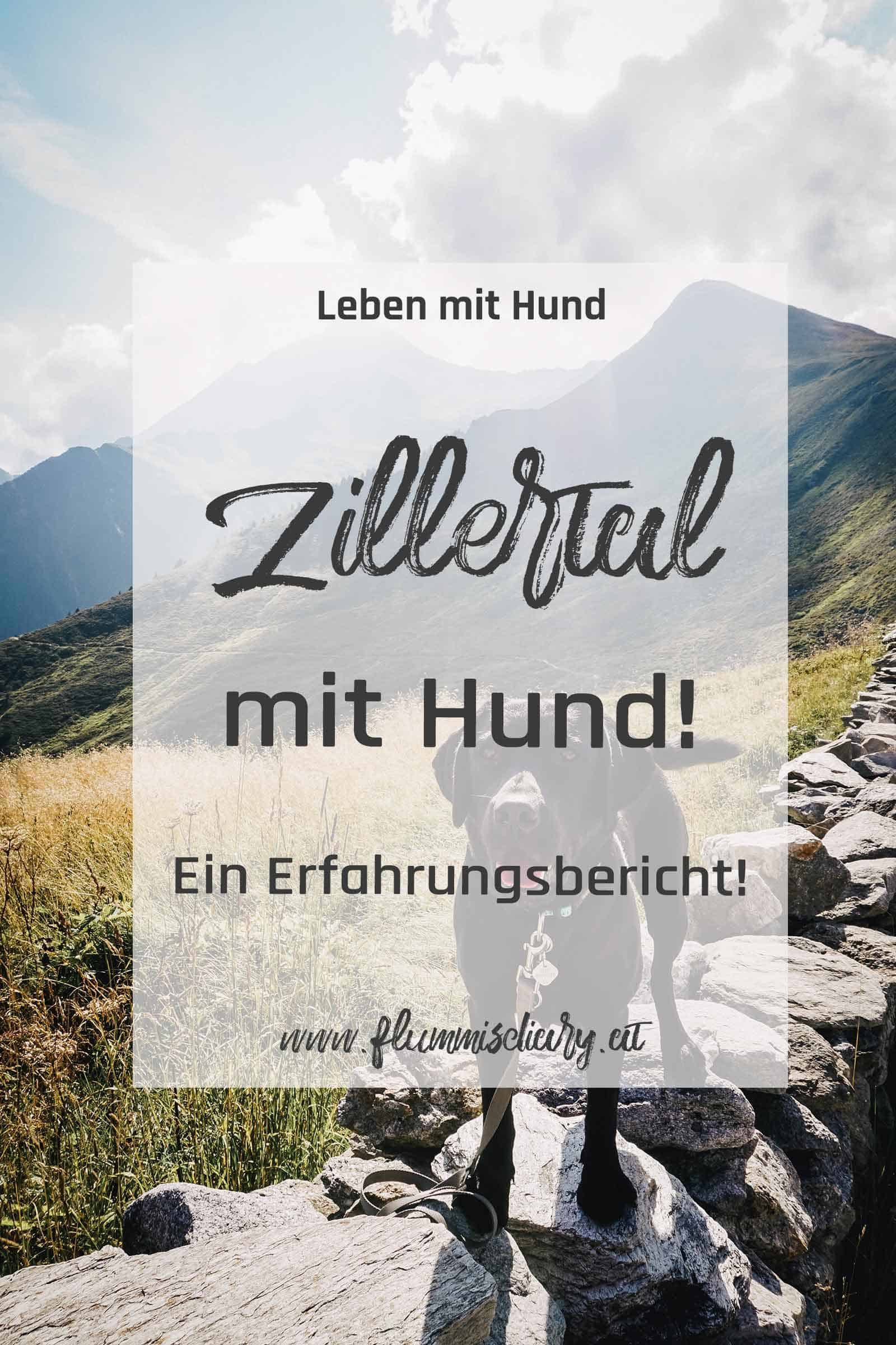 zillertal-mit-hund-pinterest