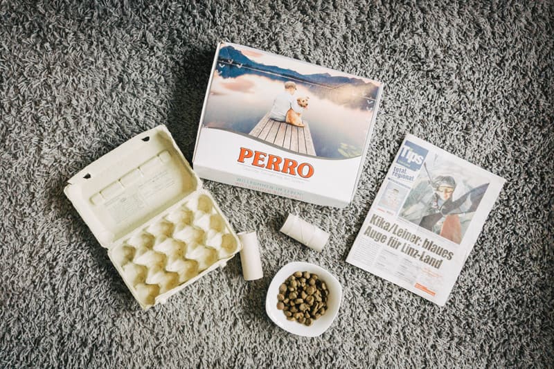 hundespielzeug-aus-eierkarton