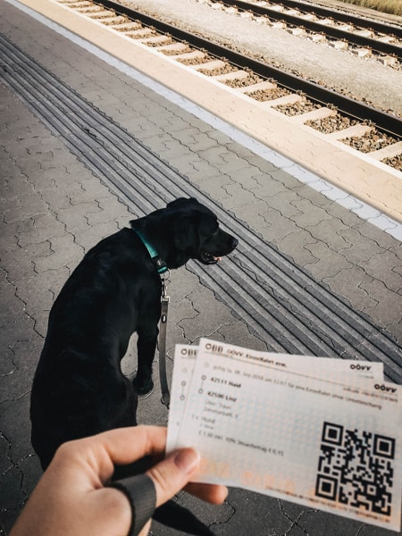 Zugtickets-zugfahren-mit-hund