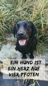 ein-hund-ist-ein-herz-auf-vier-pfoten-mobile-flummisdiary