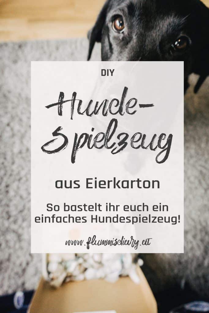 pinterest-hundespielzeug-aus-eierkarton