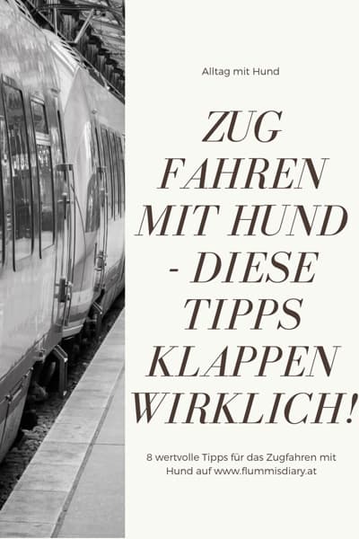zugfahren-mit-hund-tipps