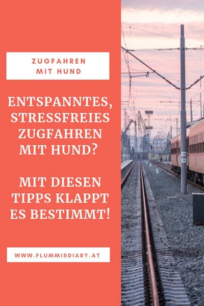 zugfahren-mit-hund-so-klappts
