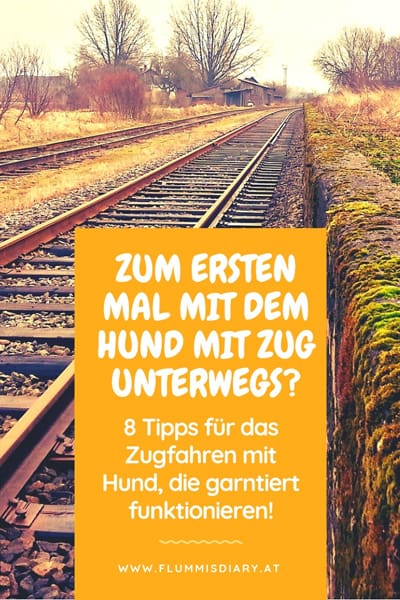 zugfahren-mit-hund-tipps