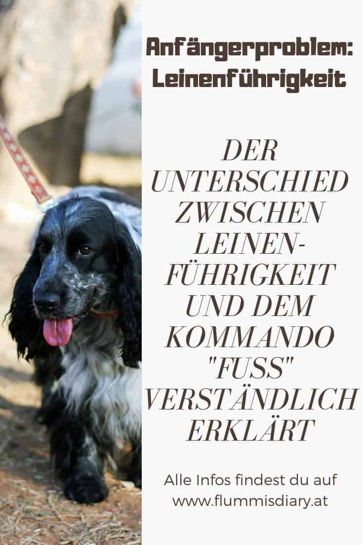 leinenfuerigkeit-kommando-fuss