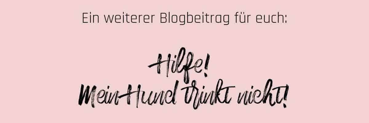 banner-hund-trinkt-nicht