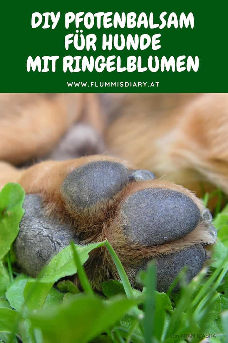 diy-pfotenbalsam-hund