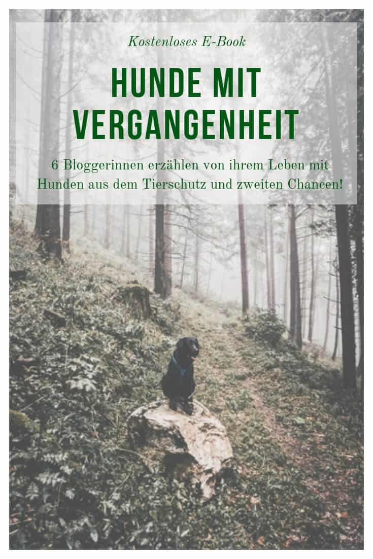 hunde-mit-vergangenheit-ebook