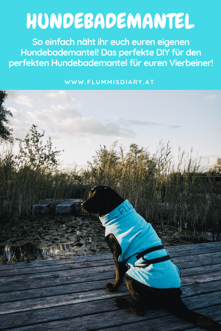 hundebademantel-diy-pinterest