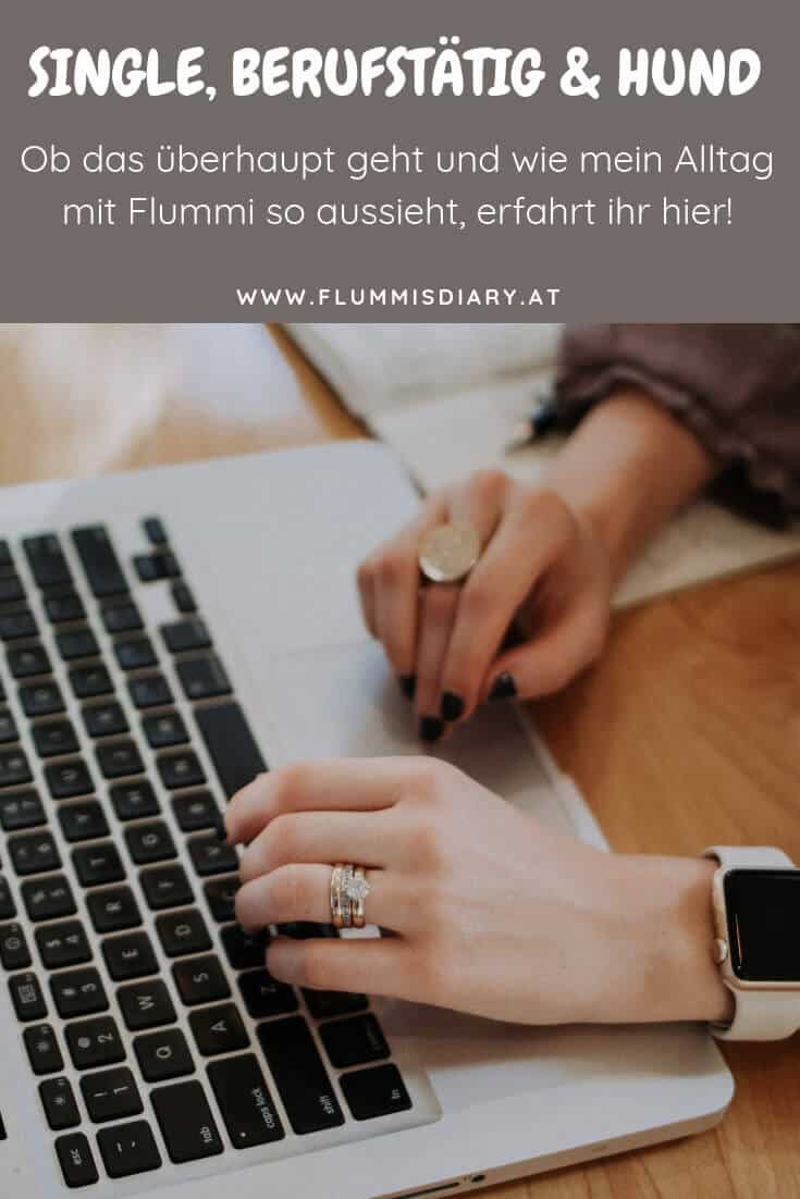 hund-alleine-vollzeitjob-single
