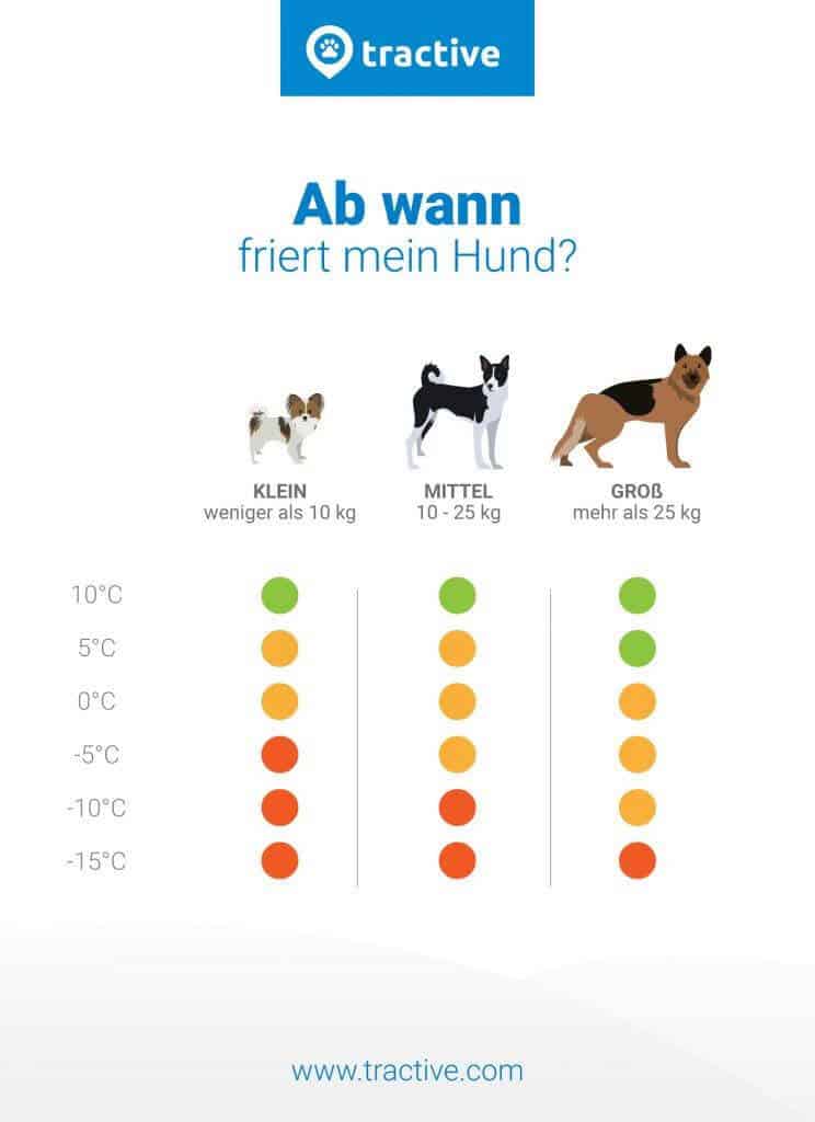 tractive-wann-friert-mein-hund
