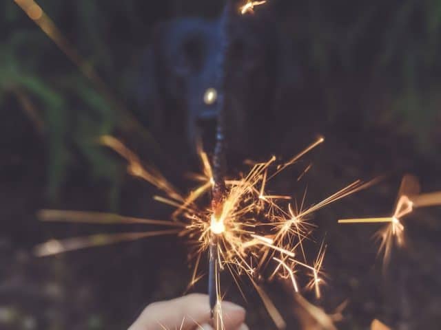 jahresrueckblick-2018-hundeblog