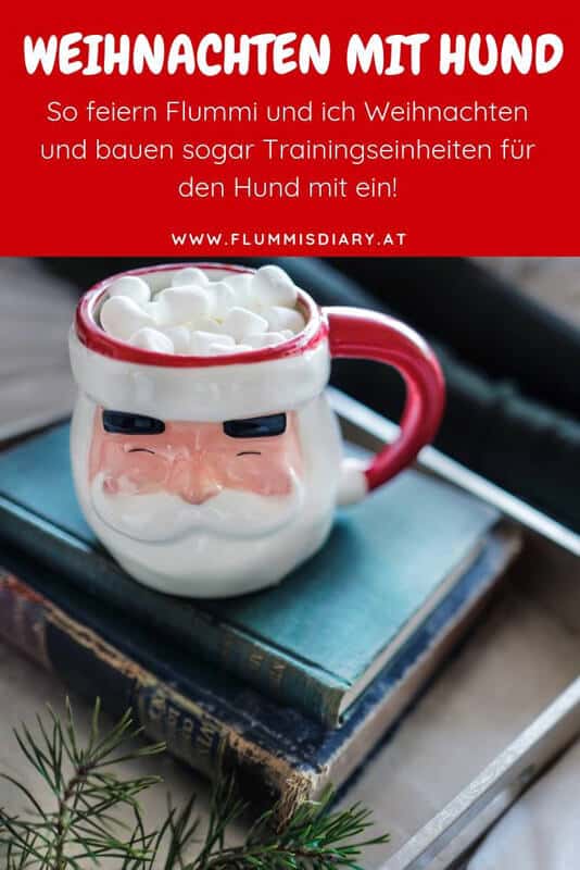 weihnachten-mit-hund-kein-stress-ohne-hunde