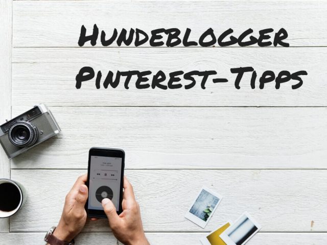 hundeblogger-tipps-pinterest