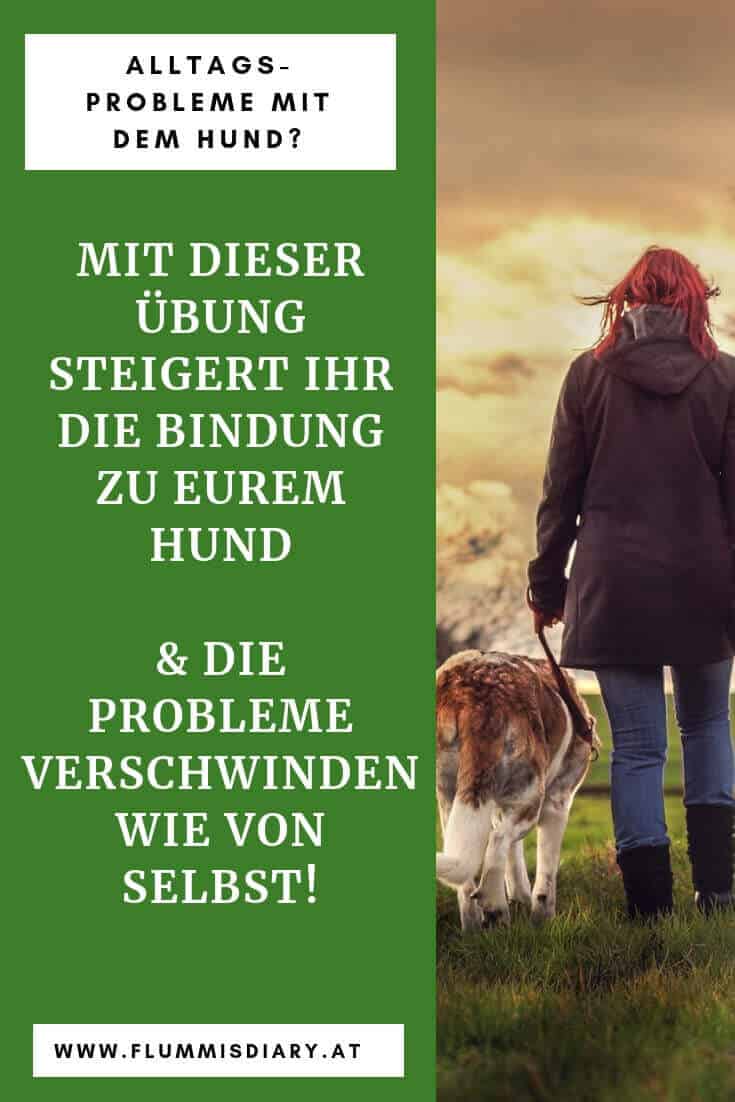 hundetraining-kontaktübung-hund-bindung