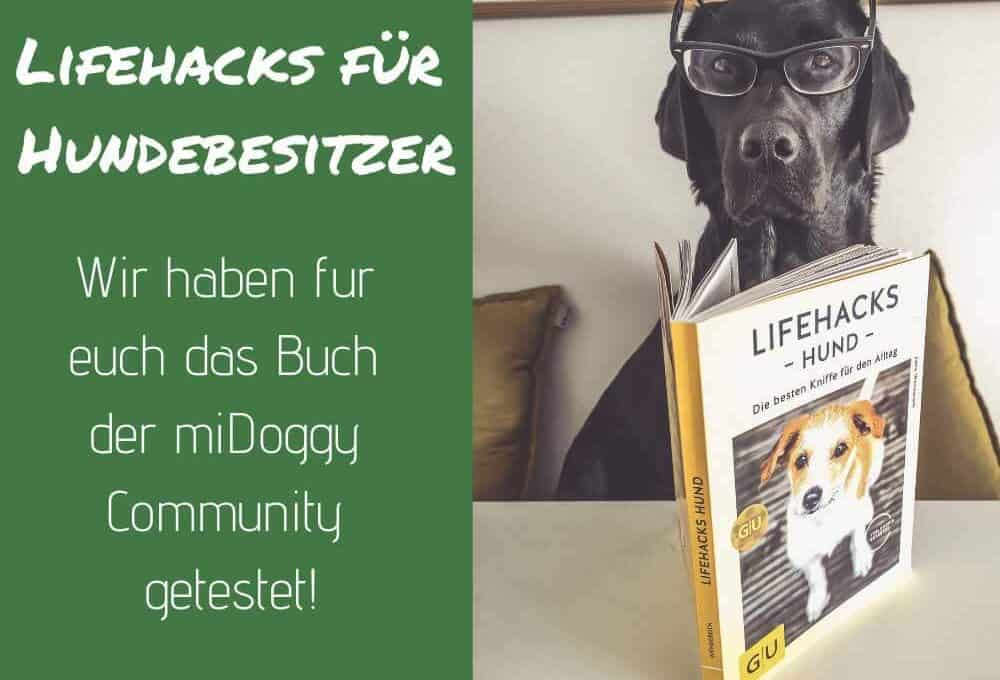 lifehacks-hund-buch