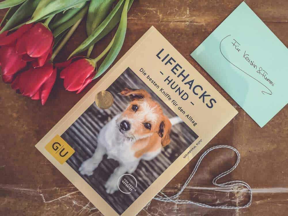 lifehacks-hund-buch-review