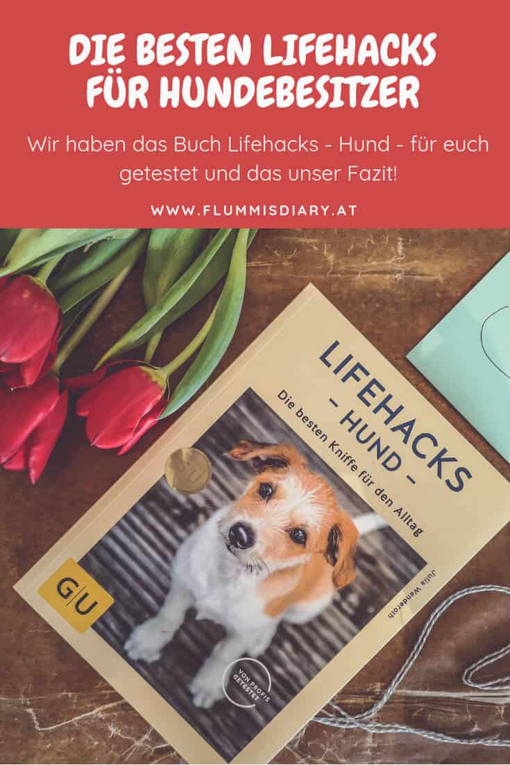 pinterest-life-hacks-hund