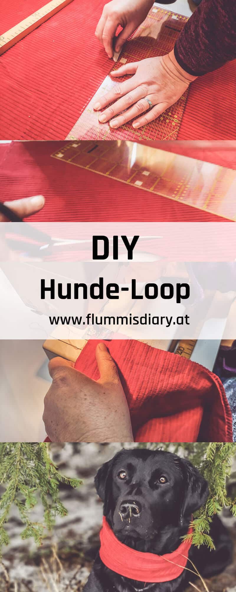 pinterest-dog-loop-diy