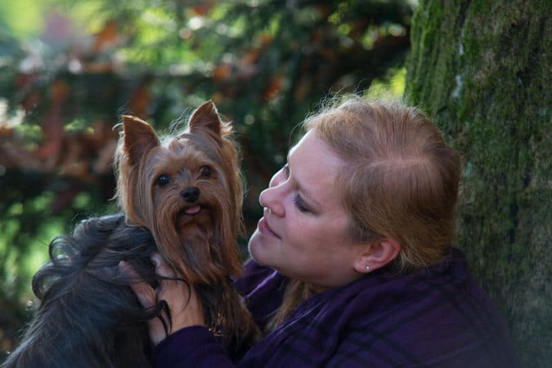Yorkshire-terrier-blog-vollzeitjob-interview