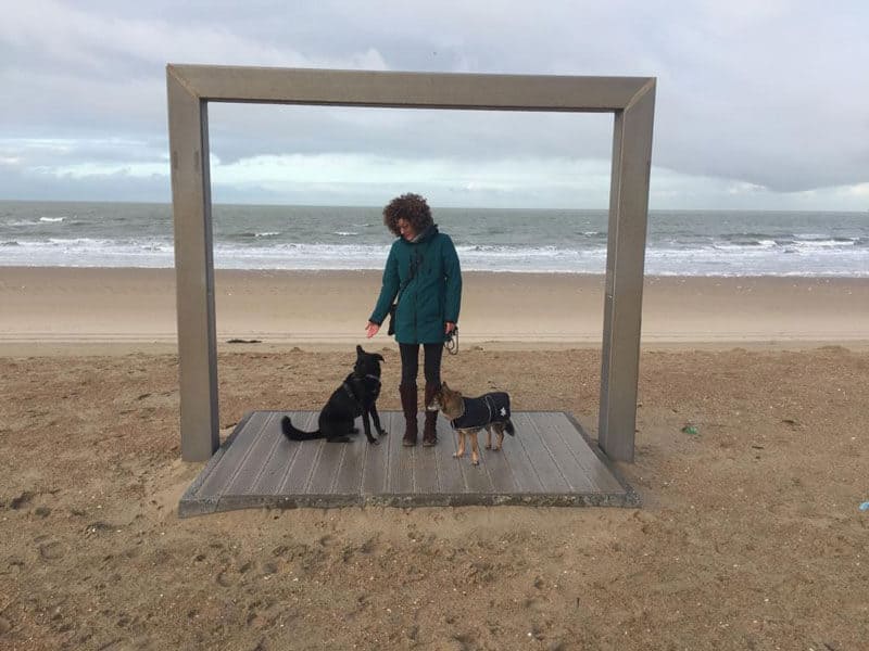 dreipunktecharlie-interview-vollzeitjob-hund
