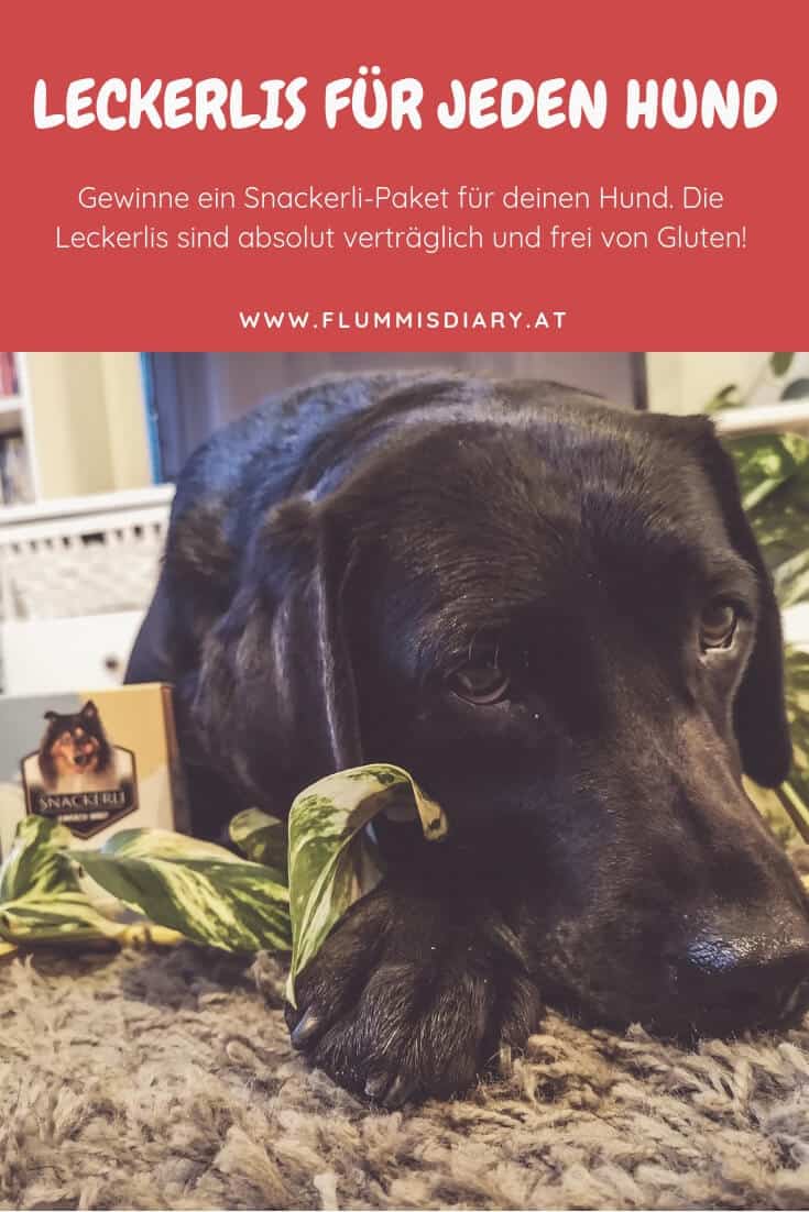 flummisdiary-gewinnspiel