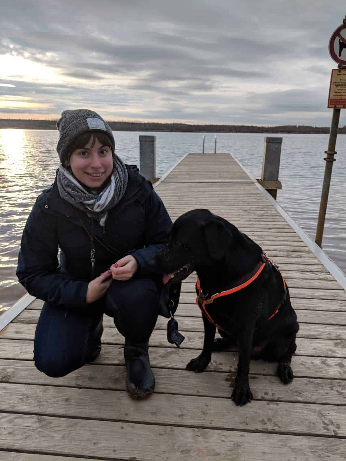 loki-labrador-vollzeitjob-hund-interview
