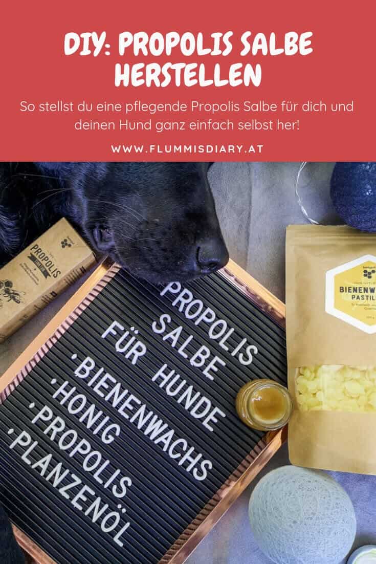 propolissalbe-hund-diy