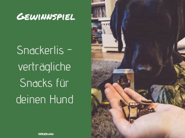snackerli-gewinnspiel-flummisdiary