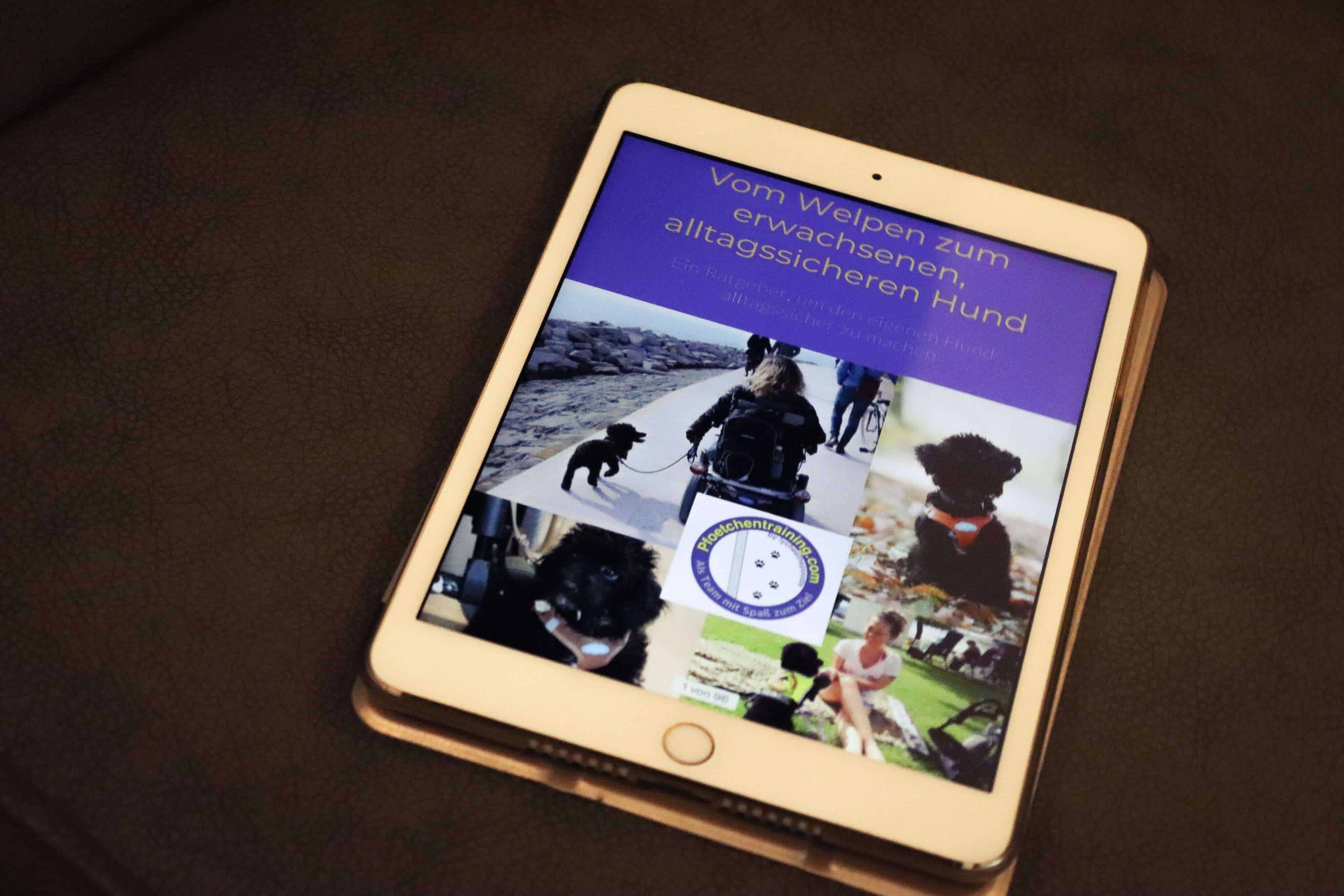 alltag-welpe-pfoetchentraining-ebook