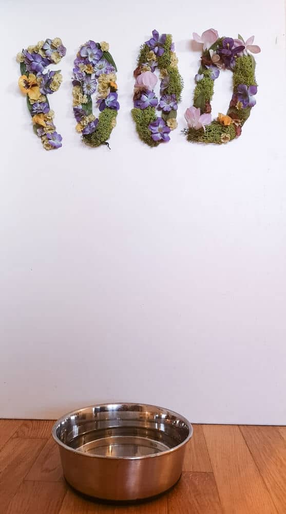 futterstation-hund-floral-letters-diy