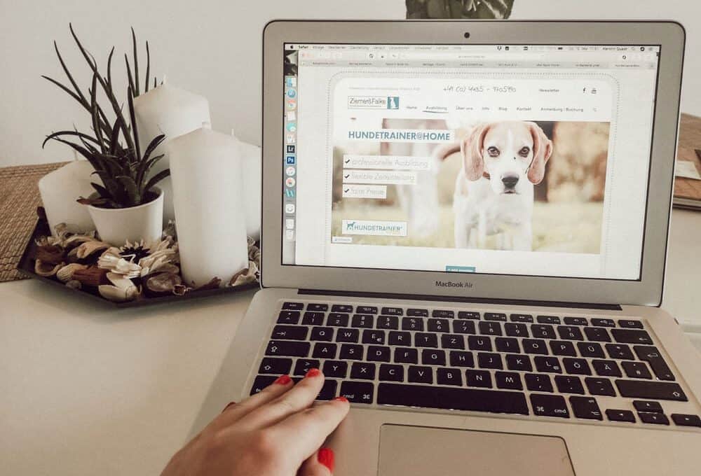 hundetrainer-ausbildung-ziemer-falke-blog