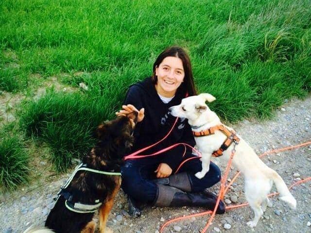 canistecture-karriere-hund-homeoffice-interview