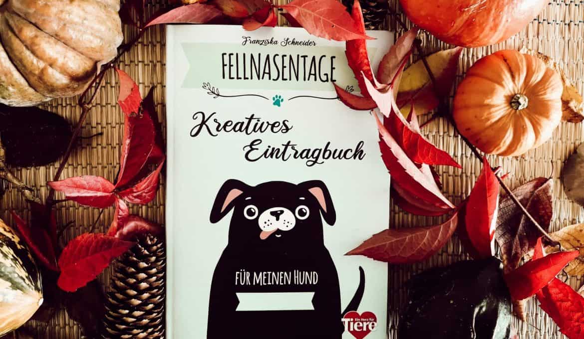 fellnasen-tagebuch-hunde-mitmachbuch-review-erfahrung