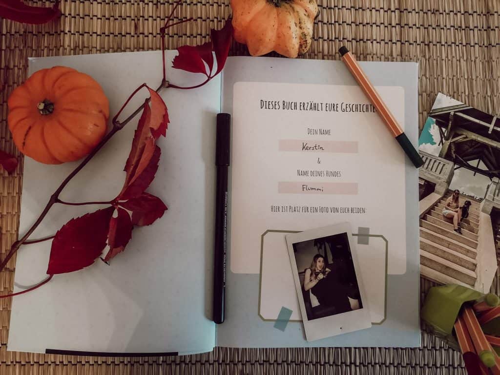 fellnasentage-buch-fuer-hunde-mitmachen-interaktiv-review