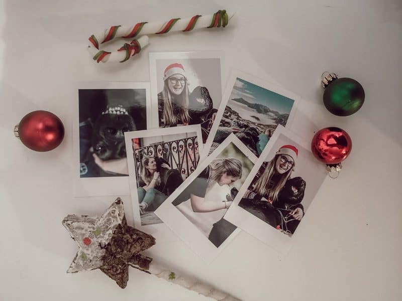 flummisdiary-hund-geschenk-weihnachten-lalalab