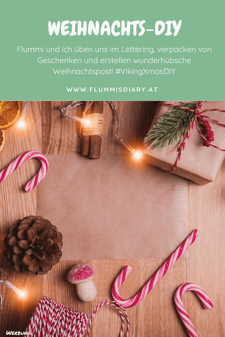 viking-diy-christmas-blog-box-hund
