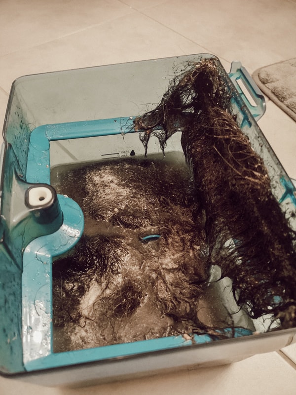 produkttest-thomas-aqua-pet-friends-hund