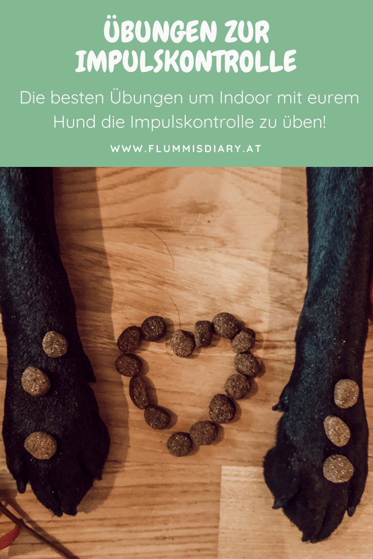 impulskontrolle-kontrolle-impuls-hund-hundetraining-training-uebungen