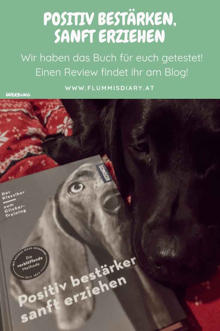 positiv-bestaerken-sanft-erziehen-buch-review-karen-pyror-blog