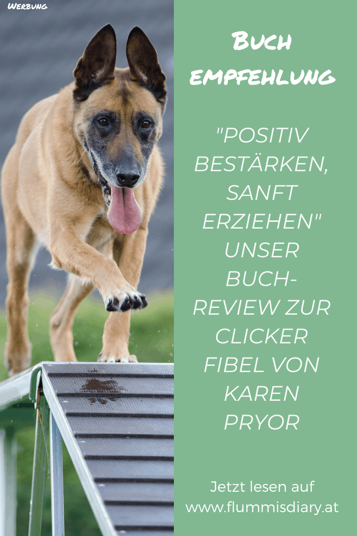 positiv-bestaerken-sanft-erziehen-buch-review