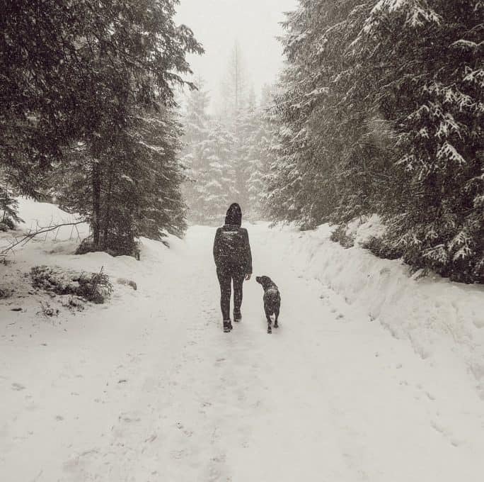 zillertal-mit-hund-im-winter-erfahrungen-tipps-ausfluege