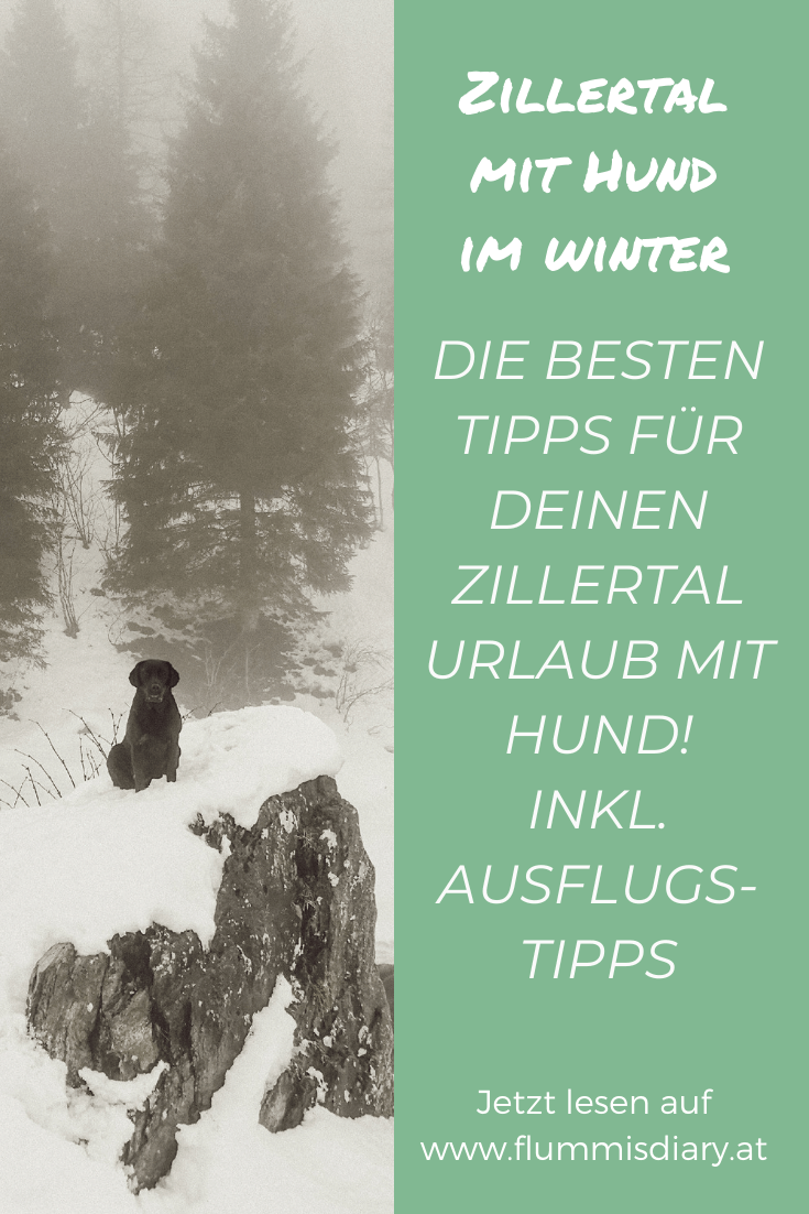 zillertal-mit-hund-im-winter-tipps-rodeln-wandern