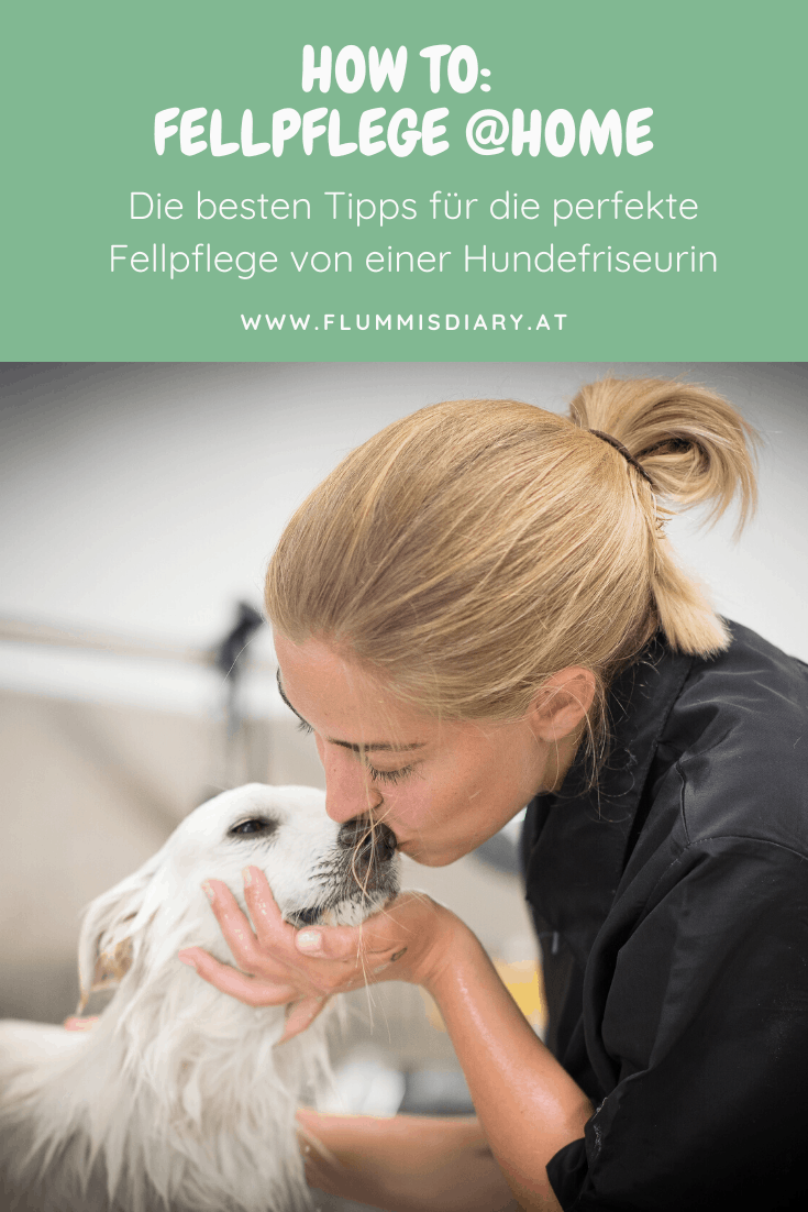 fellpflege-zuhause-tipps-hund
