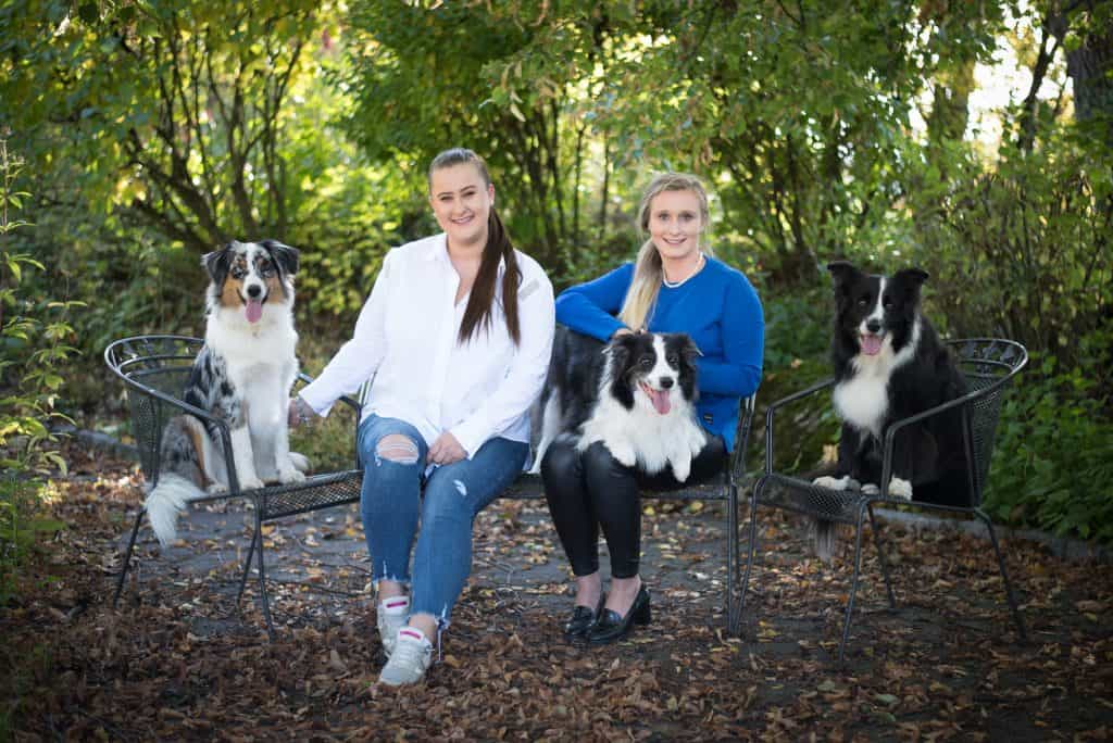 tipps-fuer-das-fotoshoooting-foto-hund-hunde-waueffekt