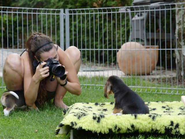 tipps-fuer-das-fotoshooting-mit-hund-celia-waueffekt