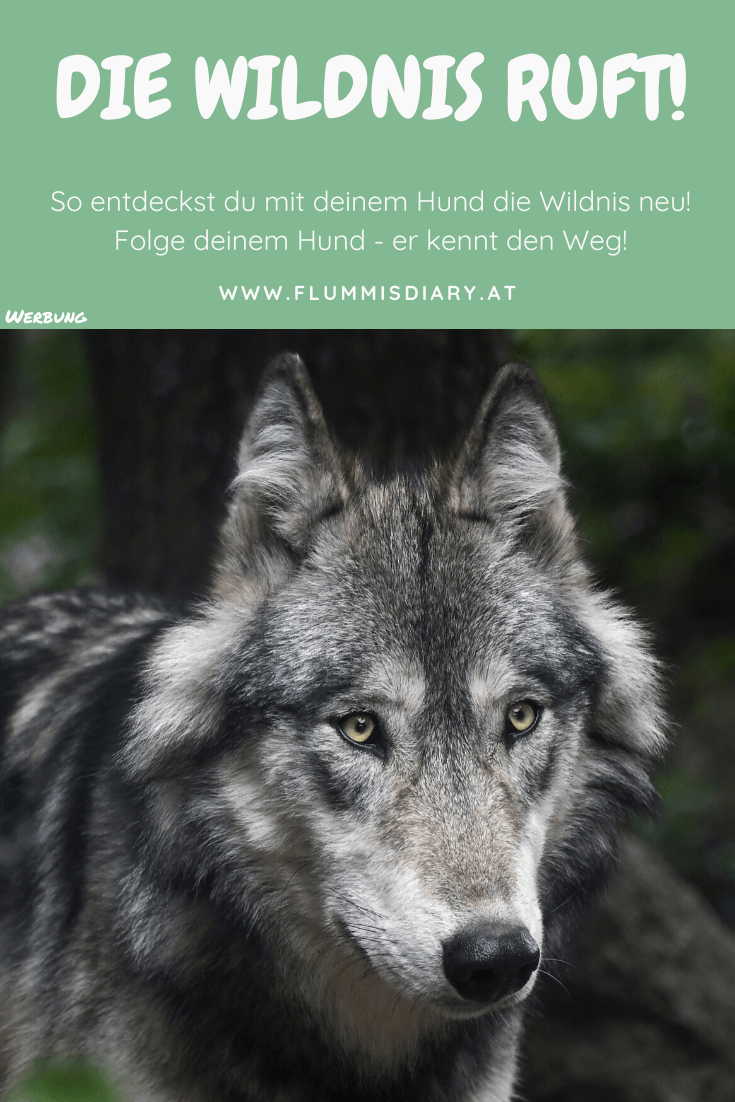 wilde-pfade-wildnis-buch-empfehlung-review