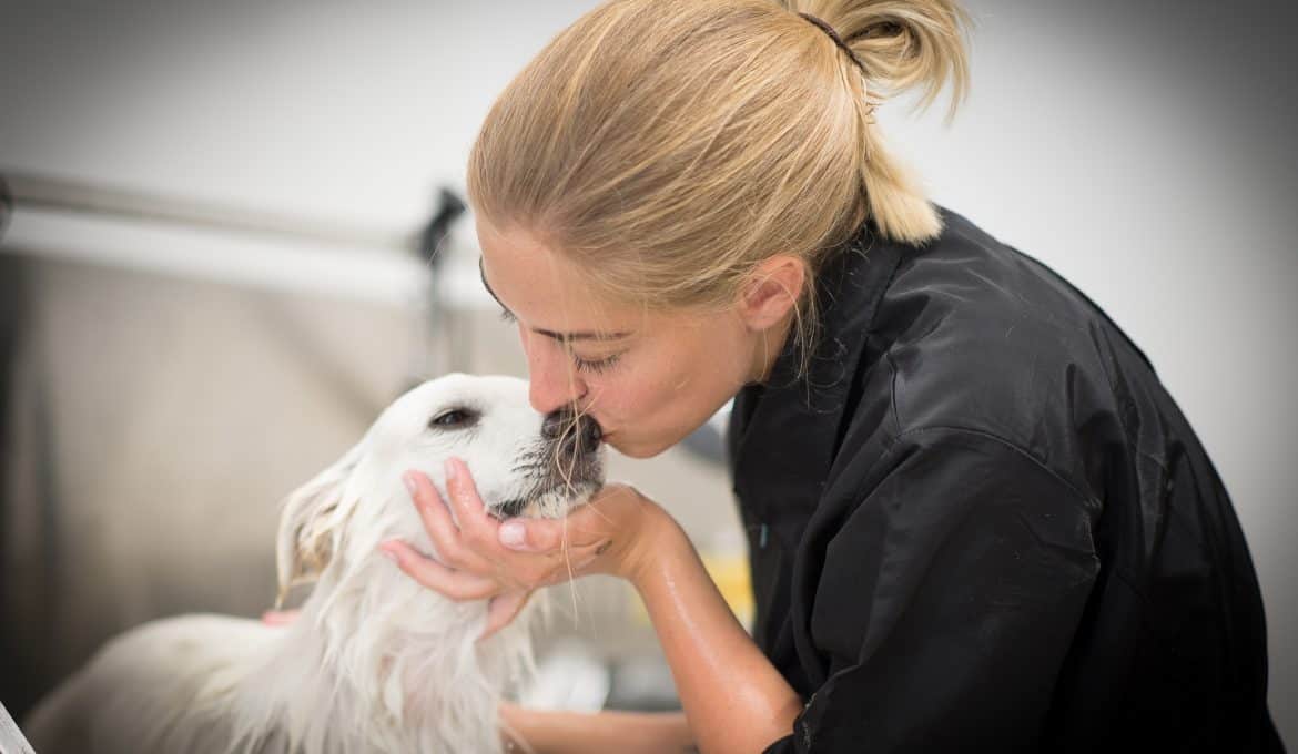 pimpmydog-lisa-hund-fellpflege-hundesalon